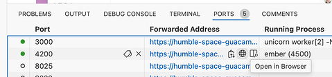 Codespaces ports tab