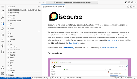 Discourse in codespace editor
